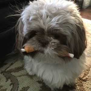 Meet your Posher, Curt